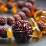 Rudraksha